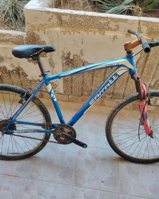 bicicletta 