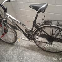 bici bottecchia
