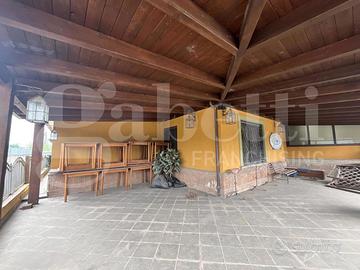 Negozio Alvignano [Cod. rif 3220812ACG]