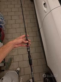 Canna da pesca Daiwa spinning
