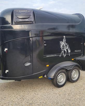 TRAILER DUE POSTI