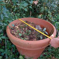 vaso in terracotta da esterno