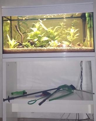Acquario 200l