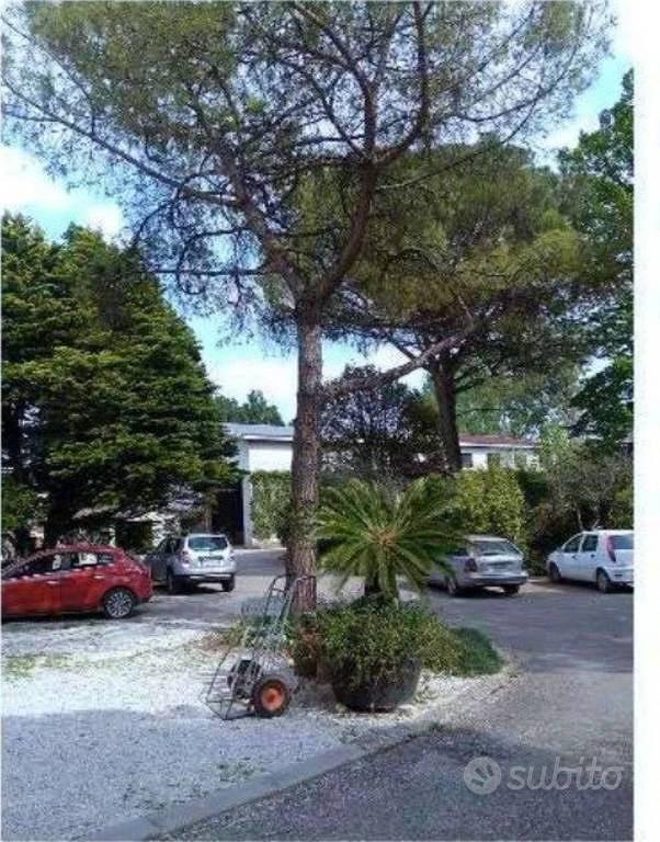 Immobile in asta di 11048 m² a Caneva - Altro
