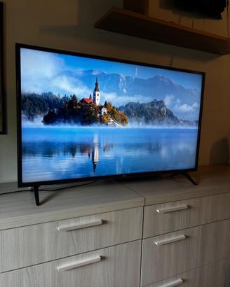 TV LG 43 pollici 4K