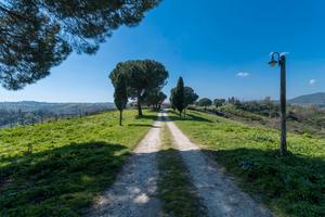 Disponibili 65 ettari per gestione agricola