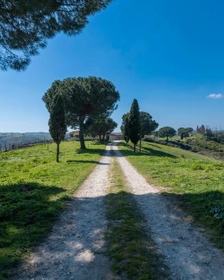 Disponibili 65 ettari per gestione agricola