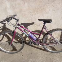 Mountain bike donna