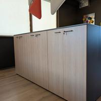 Mobile libreria ante cieche