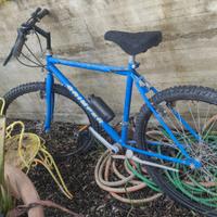 da oliare. gomme buone , cambio buono