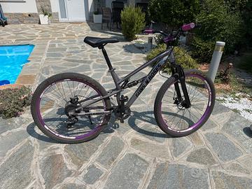 Bici mountain bike