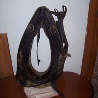 collari, testiere, sotto selle, coperte e altro