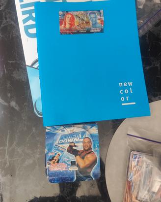 figurine wwe anni 2000 in poi