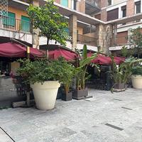 Ombrelloni Bar Risorante