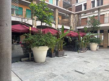 Ombrelloni Bar Risorante