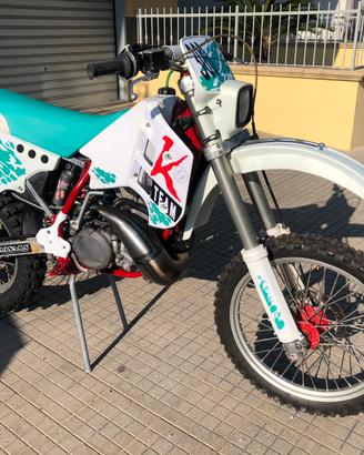 Ktm 300 gs