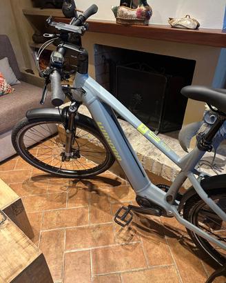 Bicicletta elettrica Winora Yucatan 10