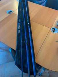 Canna da surfcasting