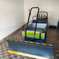 Motocarriola cingolata GRILLO D507