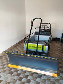 Motocarriola cingolata GRILLO D507