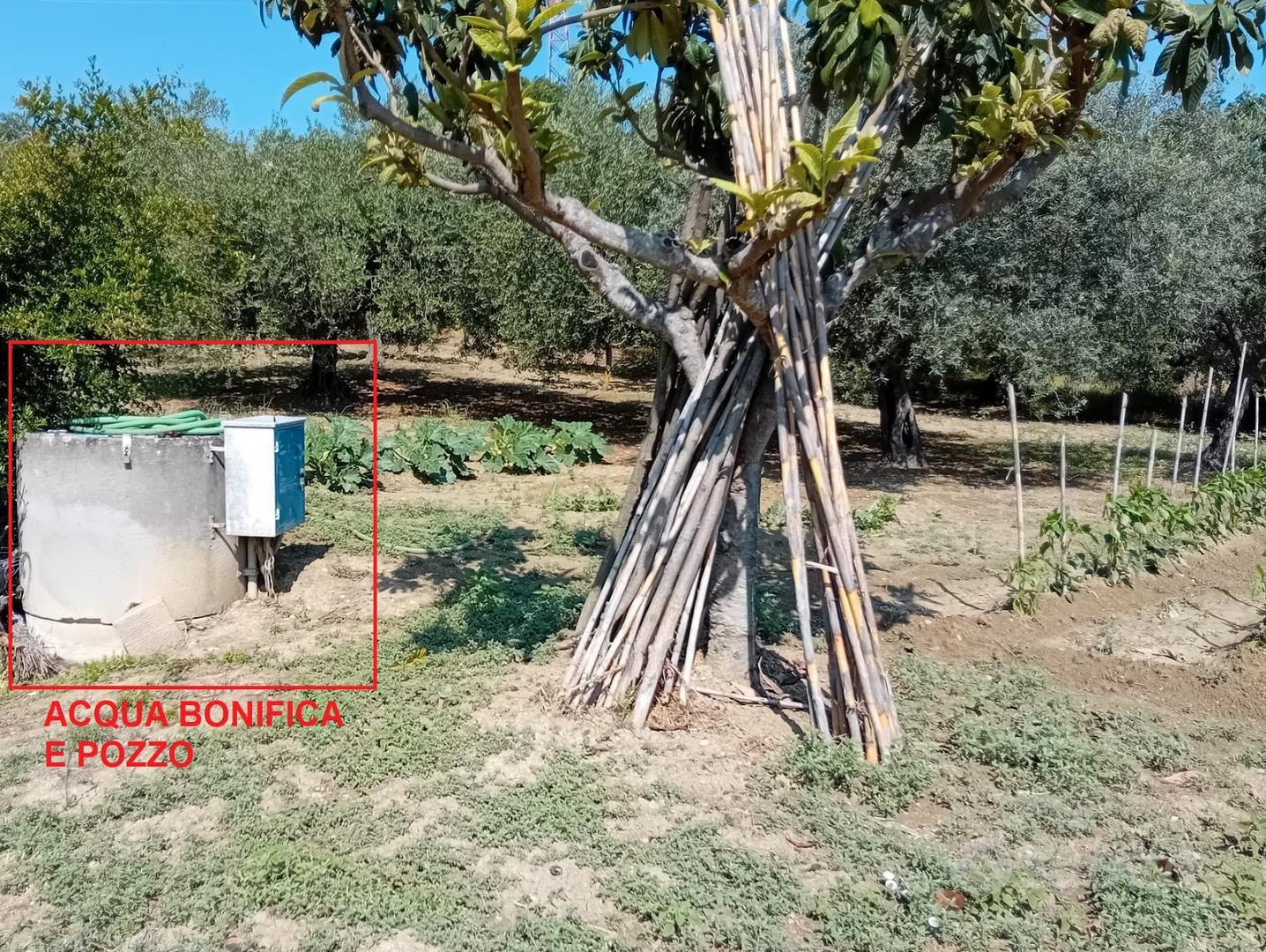 Terreno agricolo Alanno 4500mq - Vista 2