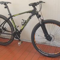 bici MTB Daytona XL 29