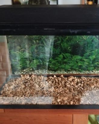 Terrario/teca per animali