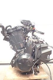 MOTORE Kawasaki EX 650 Ninja Z650 Swap 20-22