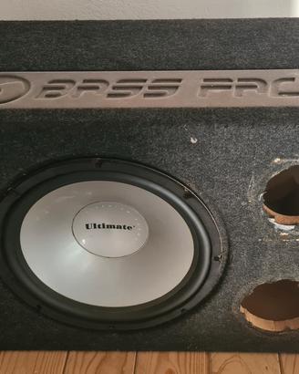 Subwoofer Bassface