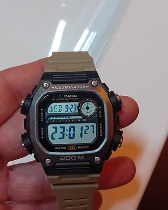 casio DW-291