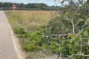 Terreno agricolo zona saracino Leverano