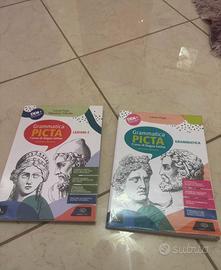Libro “grammatica picta seconda edizione”
