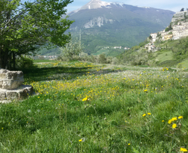 Terreno agricolo