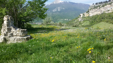 Terreno agricolo