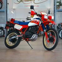HONDA XL600 Paris Dakar FMI Targa Oro 1984