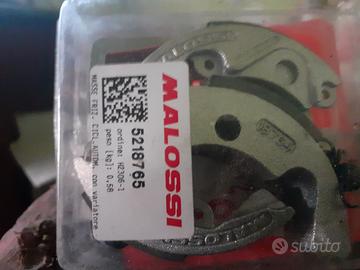 frizione malossi 