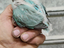 Immagine 4