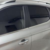 Oscuramento vetri o Detailing interno