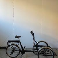 Bici Cargo