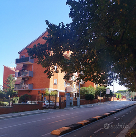 Luminoso appartamento