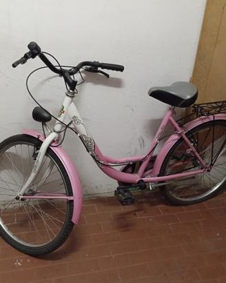 Bicicletta bambina 20” rosa bianca con portapacchi