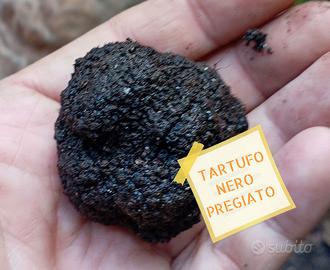 TARTUFO NERO DI NORCIA PREGIATO