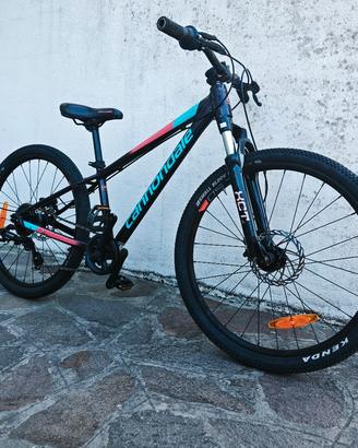 Bici Cannondale Kids Trail 24 MTB bambino 8 vel. 