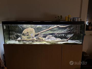 Acquario artigianale 700 litri con mobile 