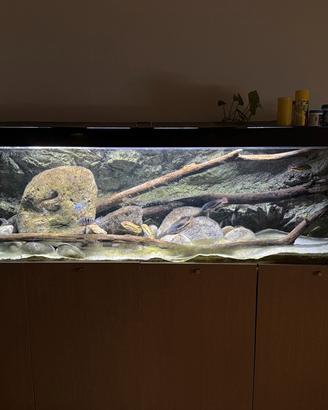 Acquario artigianale 700 litri con mobile 