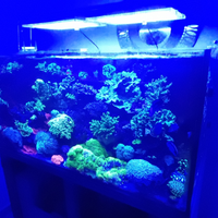 Aquario marino