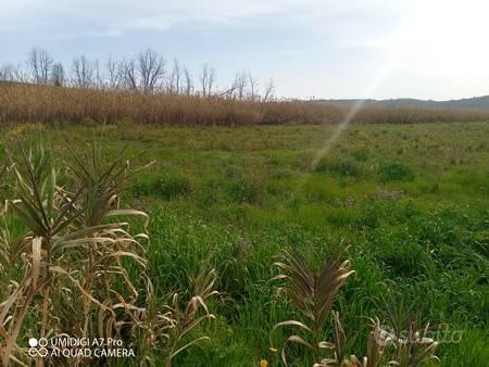 Terreno agricolo a Paglieta