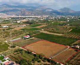 Terreno agricolo a Partinico, Contrada Pacino