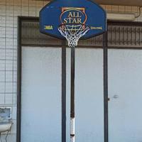 Canestro Basket Spalding All Star Regolabile