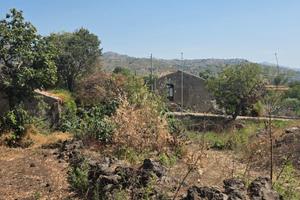 Piedimonte terreno agricolo mq. 23.387